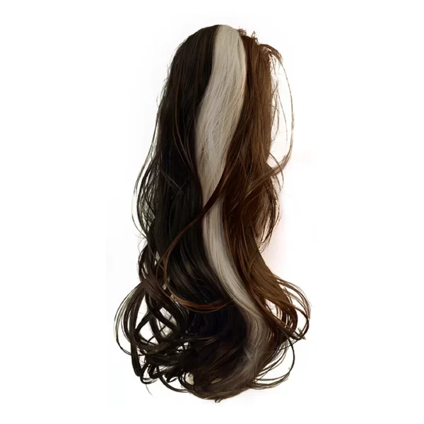 Ponytail - Color 8081