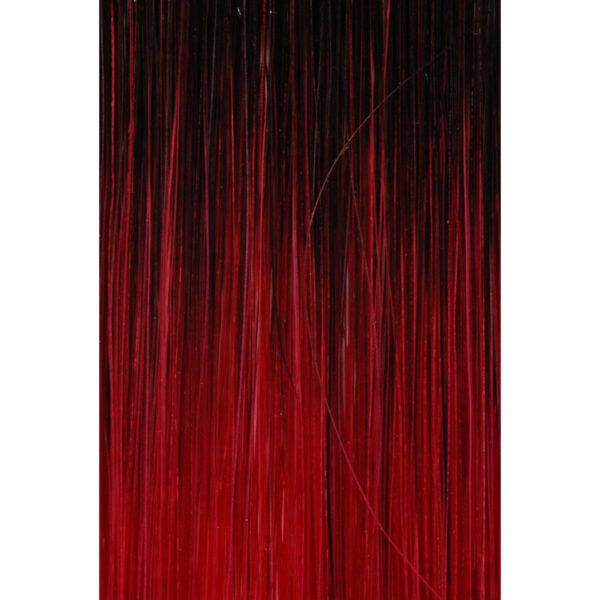 Freestyle T-Parting N Col. 3/Wine Red